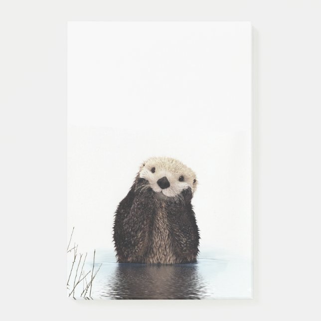 Post-it® Loutre de sourire adorable dans le lac (Devant)