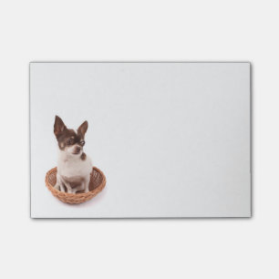 Post-it® Love Chihuahua Puppy Dog Post IT Sticky Notes