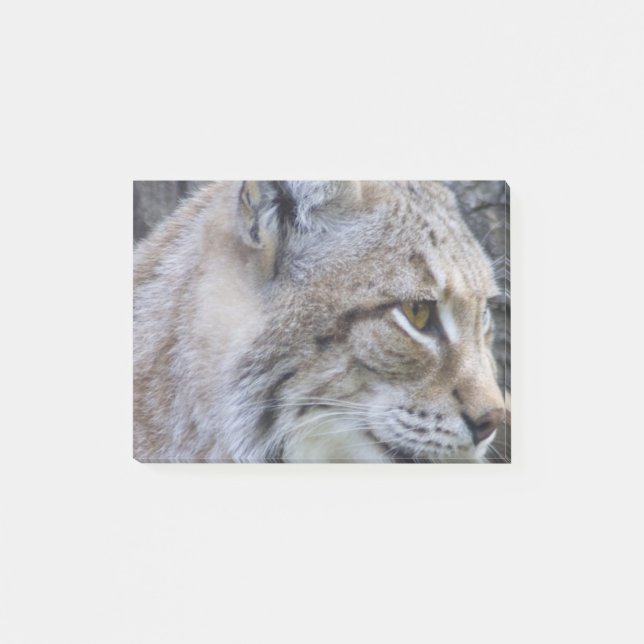 Post-it® Lynx (Devant)
