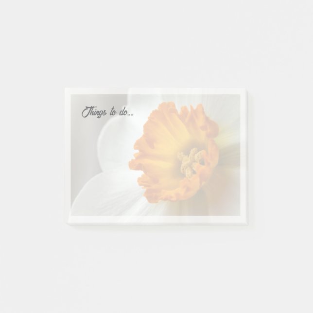 Post-it® Magnifique narcisse en fleurs en macro (Devant)