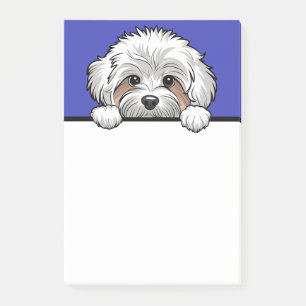 Post-it® Maltipoo Cute Peeking Cadeaux Amoureux de les chie