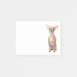 Post-it® Maman Chien Chihuahua Chiots Sauvetage Adoption