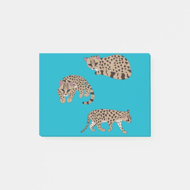 Post-it® Margays (Devant)