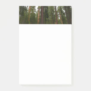 Post-it® Mariposa Grove dans le parc national de Yosemite