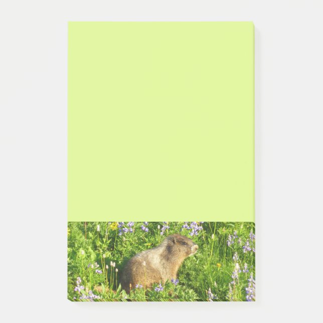 Post-it® Marmotte dans les fleurs sauvages du mont Rainier (Devant)