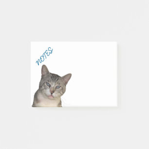 Post-it® Meece Kitty aux yeux bleus