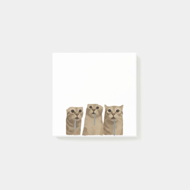 Post-it® Mème des chats idiots qui bavent triple (Devant)