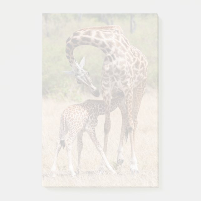 Post-it® Mère girafe et bébé au Kenya (Devant)