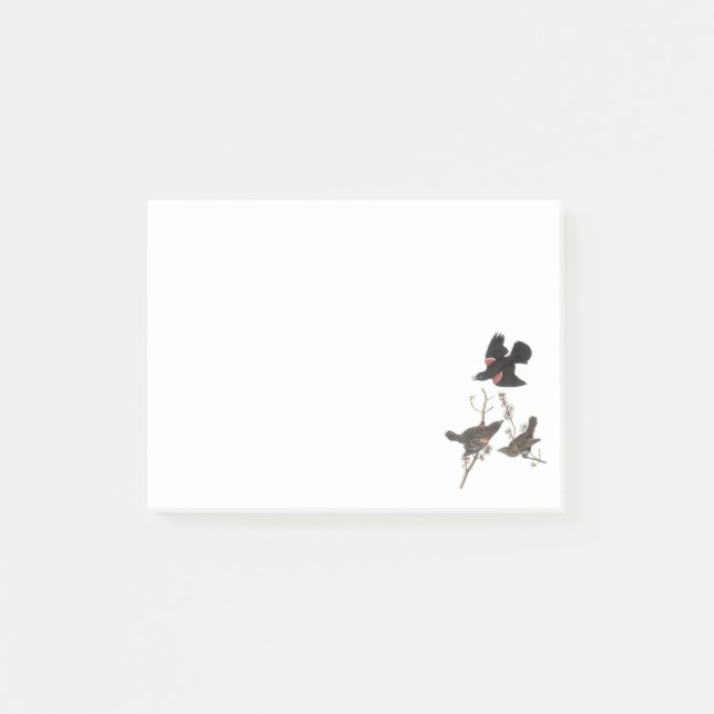 Post-it® Merle à ailes rouges par Audubon (Devant)