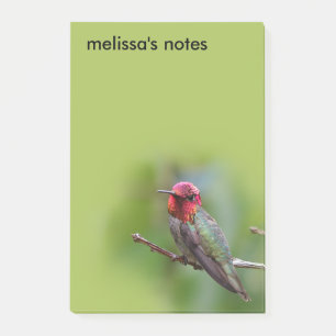 Post-it® Merveilleux colibri d'Anna sur un arbre fruitier