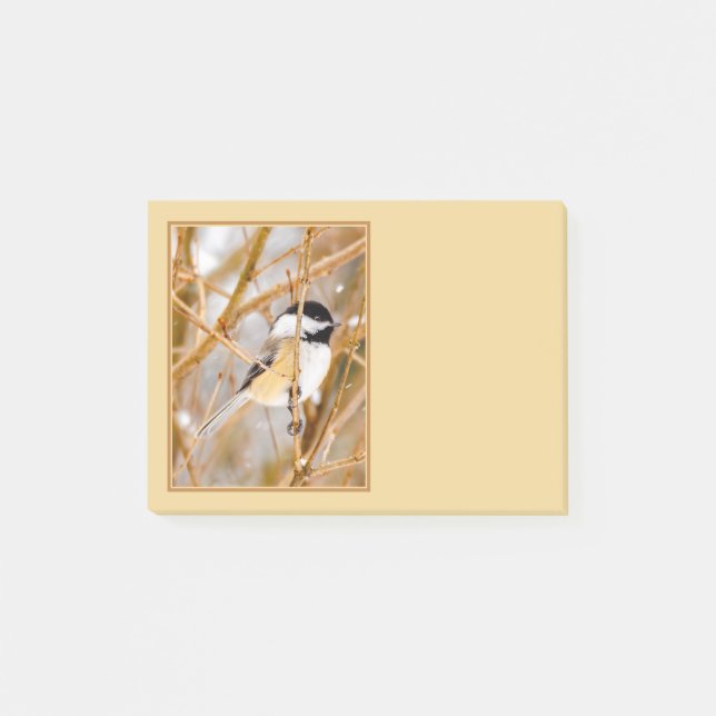 Post-it® Mésange à tête noire - Photographie originale (Devant)