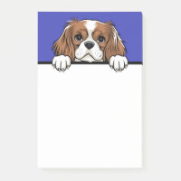 Mignon Cavalier King Charles Spaniel Amateur de Ch
