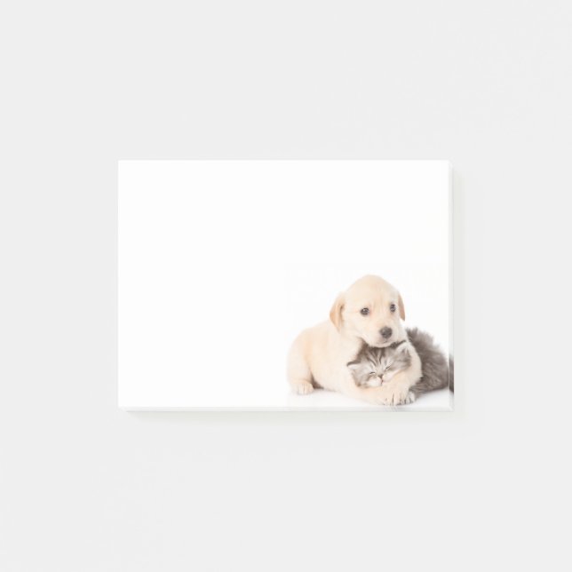 Post-it® mignon petit chat dort dans les mains du chien (Devant)