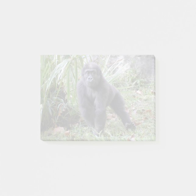 Post-it® Moke de Gorilla au zoo national (Devant)