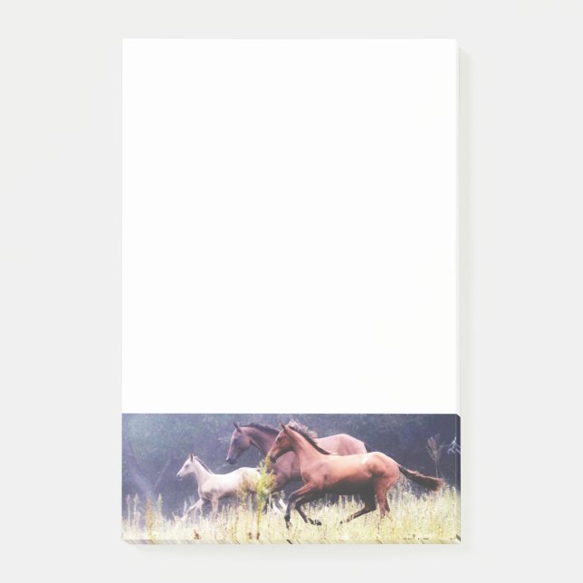 Post-it® Motif de Cheval coloré (Devant)