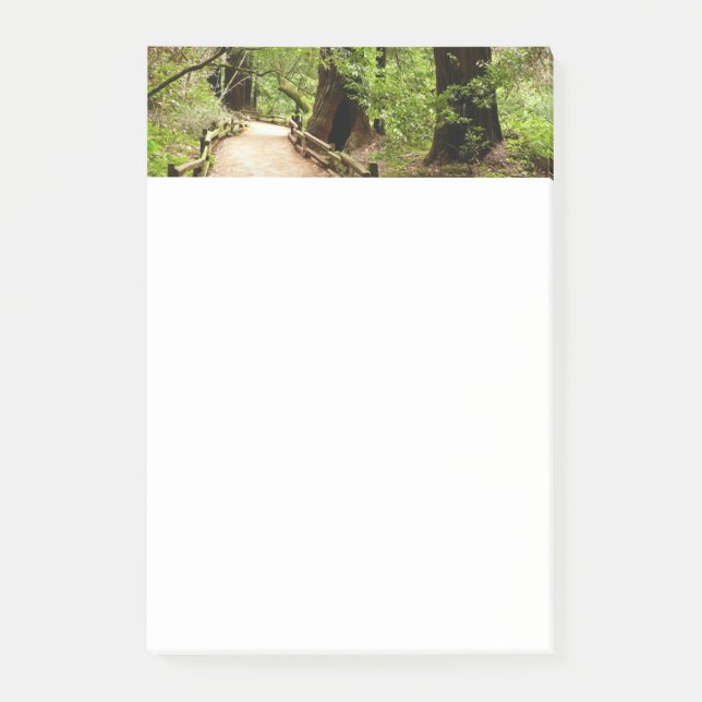 Post-it® Muir Woods Path II Nature Photography (Devant)