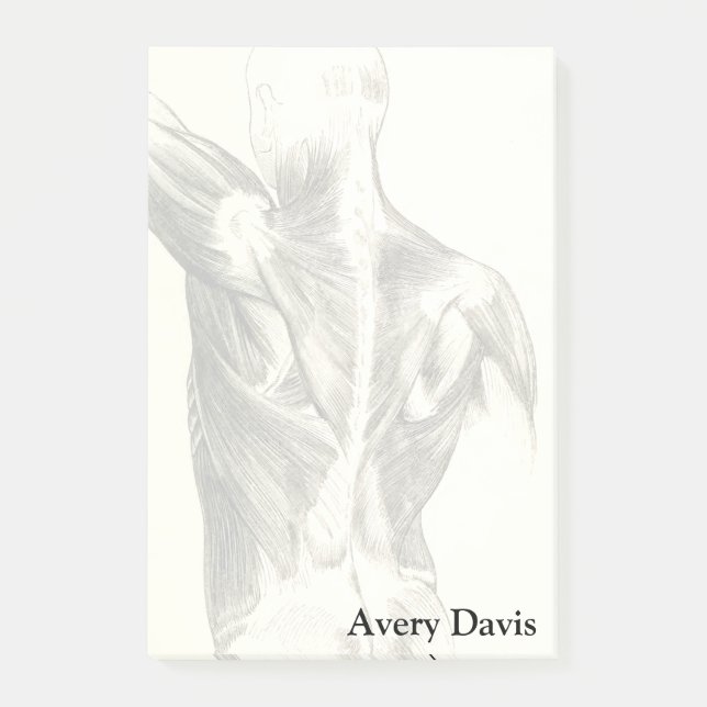 Post-it® Muscles du dos vintages de l'anatomie | (circa (Devant)