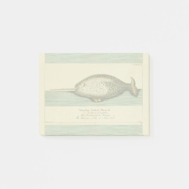 Post-it® Narwhal Antique Baleine Aquarelle Art scientifique (Devant)