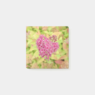 Post-it® Natural Flower Heart - percé par la flèche.
