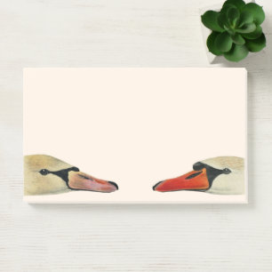 Post-it® Nature Les multiples visages d'un cygne