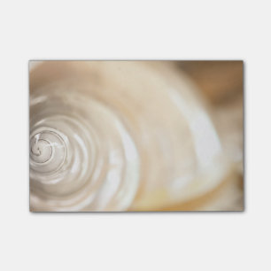 Post-it® Nature marine de la coquille de la mer Blanche