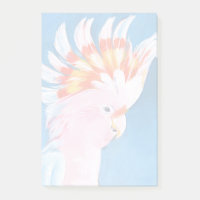 Neon Mohawk - Cockatoo rose