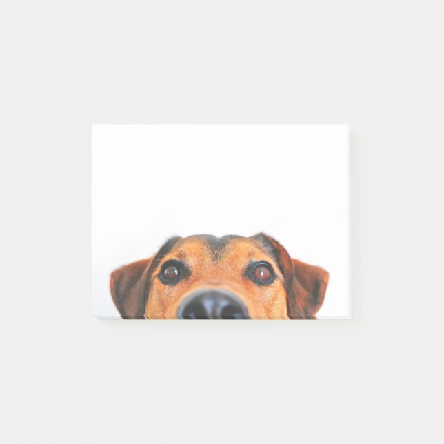 Post-it® Nez de chien mignon horizontal (Devant)