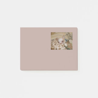 Post-it® Notes Chihuahuas Confortables