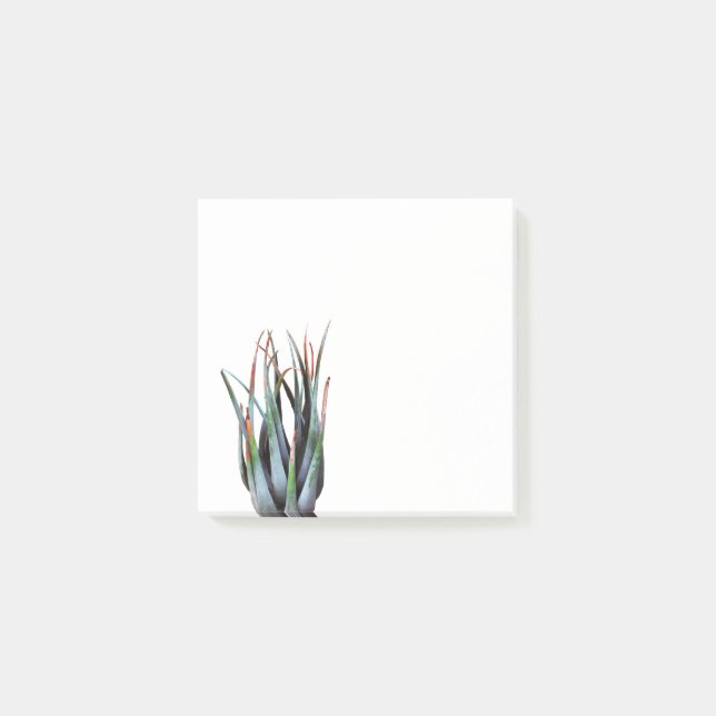 Post-it® Notes d'art photo photo d'un Plante (Devant)