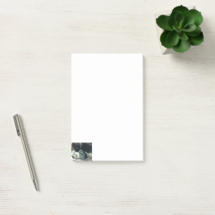 Post-it® Notes de chaton de chat