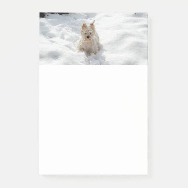 Post-it® Notes de chien Westie blanc dans la neige (Devant)