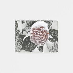 Post-it® Notes de dessin du Rose de neige congelée