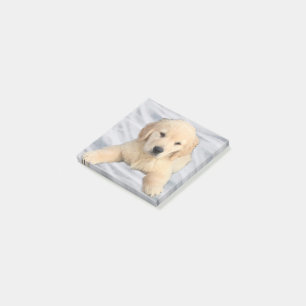 Post-it® Notes de la publication de Golden Retriever Puppy