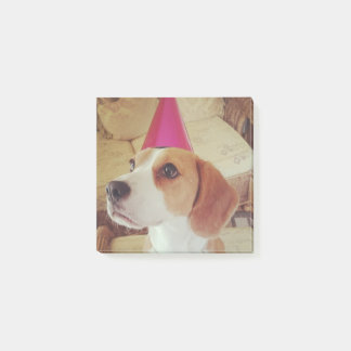 Post-it® Notes de post-it de beagle d'anniversaire