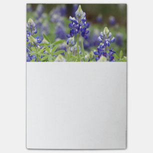 Post-it® Notes de post-it de champ de Bluebonnet