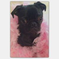 Notes de post-it de Mlle Harley