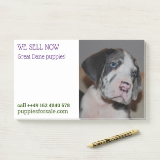 Post-it® Notes de vente de chiots affichées
