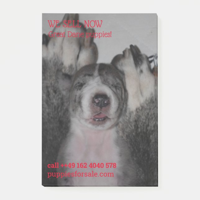 Post-it® Notes de vente de chiots affichées (Devant)