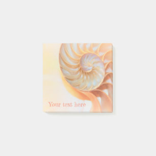 Post-It Notes nautilus shell