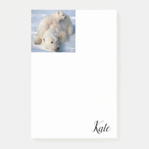 Post-it Notes Ours Polaire