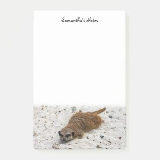 Post-it® Notes post-it de Chillin' Meerkat