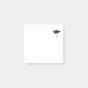 Post-it® Notes postales d'Ostrich
