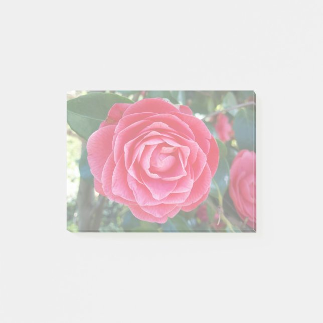 Post-it® notes sur la camélie (Devant)