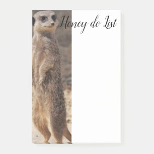 Post-it Notes Suricate