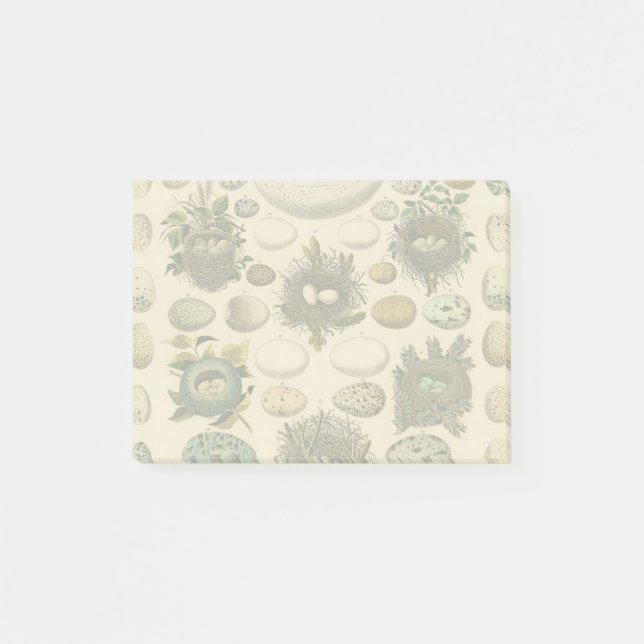 Post-it® OEuf vintage Nid Art Peinture OEufs (Devant)