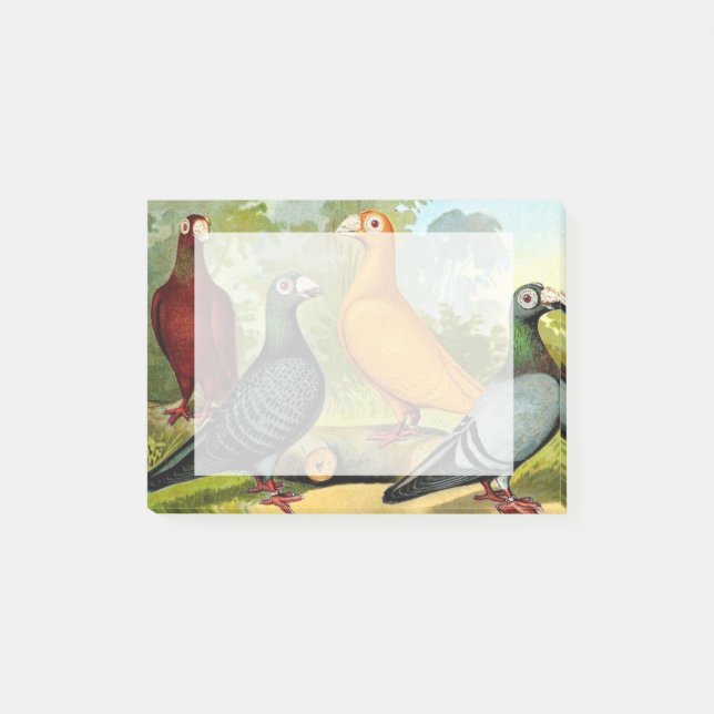 Post-it® Oiseaux de pigeon de dragon (Devant)