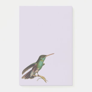 Post-it® Oiseaux sauvages de la nature Colibri