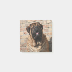 Post-it® old english mastiff