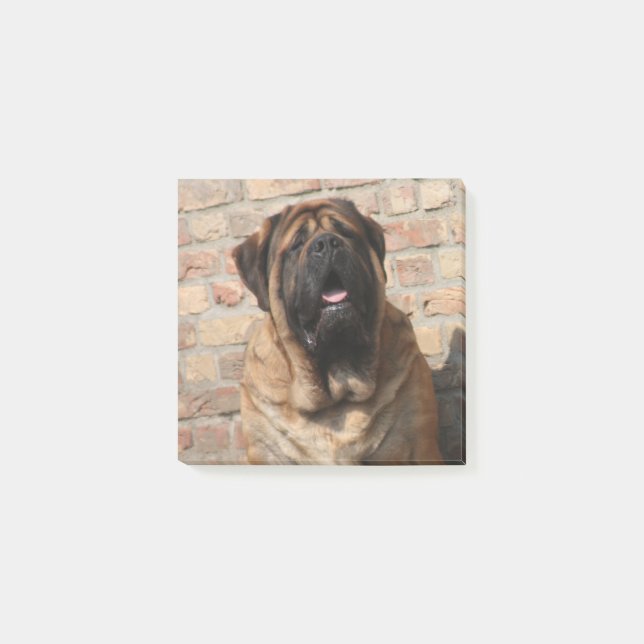 Post-it® old english mastiff (Devant)