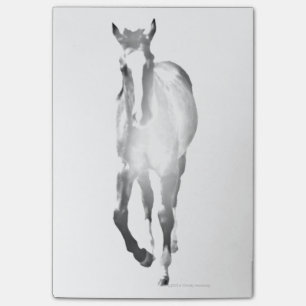 Post-it® Ombre de cheval
